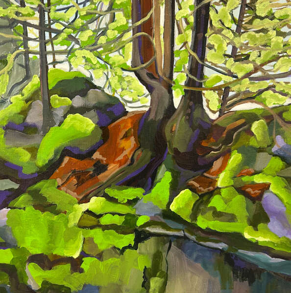 Early Spring, Ingils Falls Conservation Area