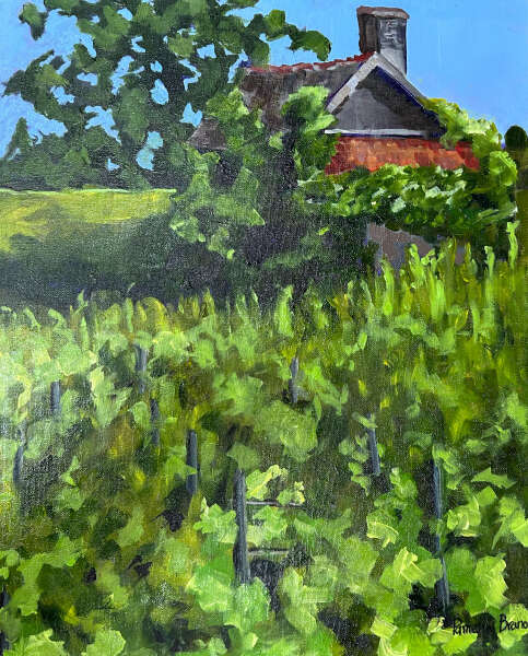 Vineyards in May, Beaune, France