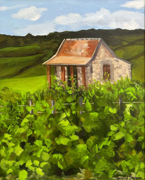 Vineyards, Beaune, France