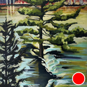 Jack Pine, Nottawasaga River