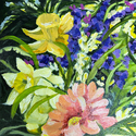 Daffodils